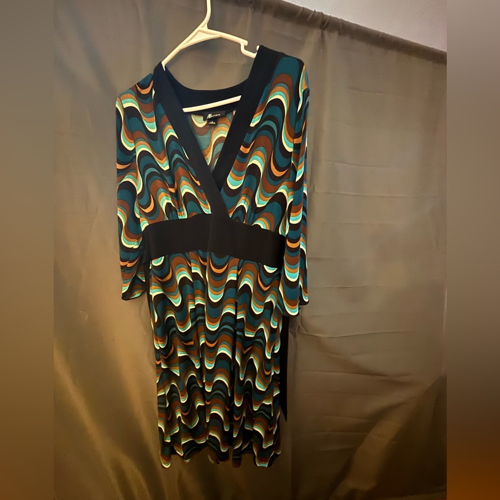 Women’s Dress Size Large